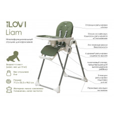 Стульчик для кормления iLovi Liam Green