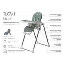 Стульчик для кормления iLovi Liam Mint